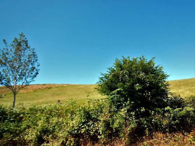 DSCN7574 DSCN7574