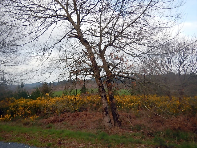 DSCN2463 DSCN2463
