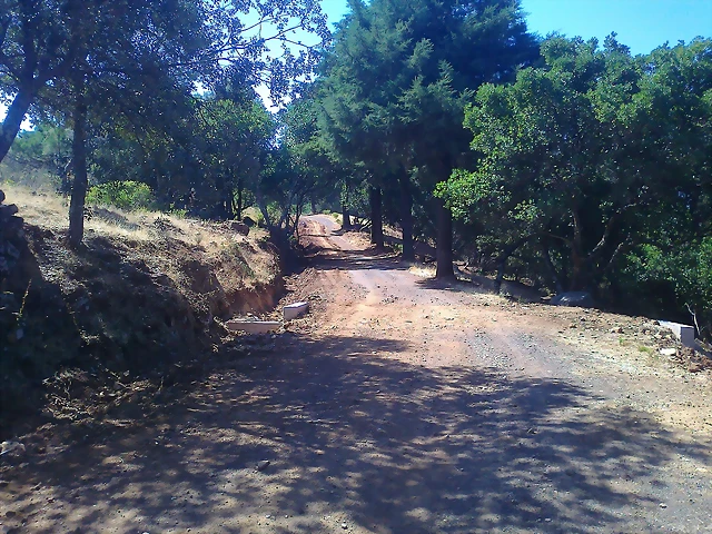 Foto0266 Foto0266