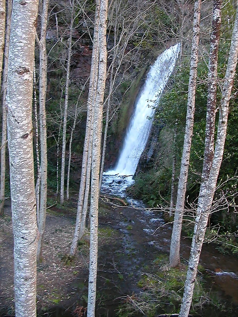 DSCN8015 DSCN8015