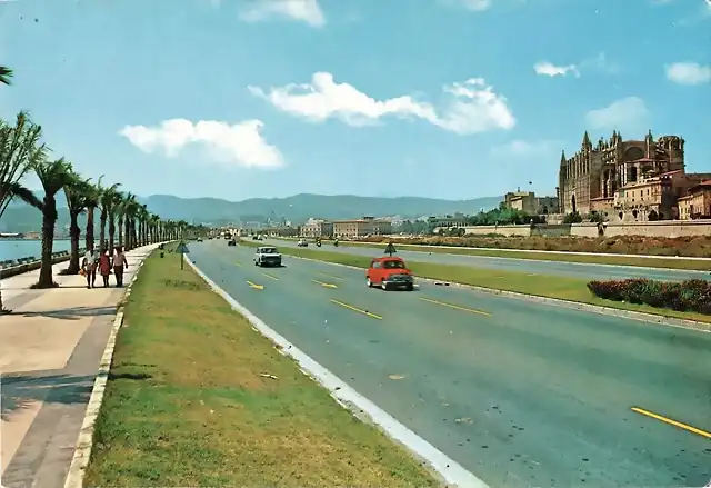 Palma de M. Av. Gabriel Roca   --  Tonimallorca