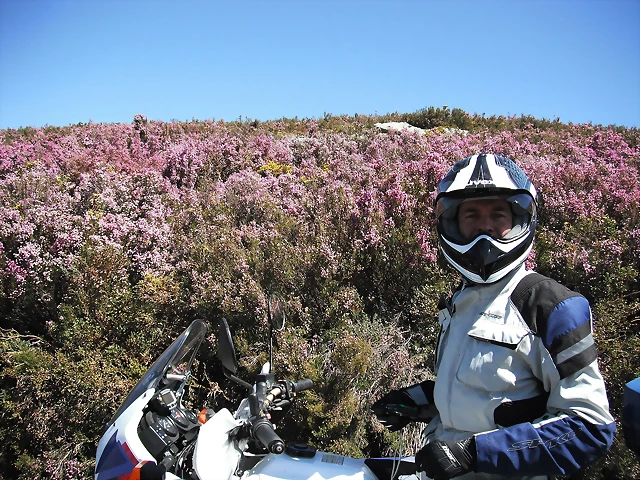 DSCF2544 DSCF2544