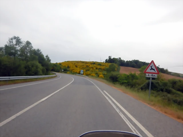 DSCN6557 DSCN6557