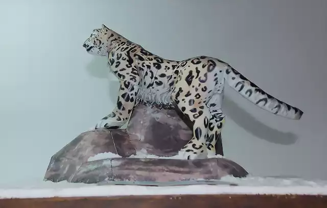 Leopardo de las nieves (11)