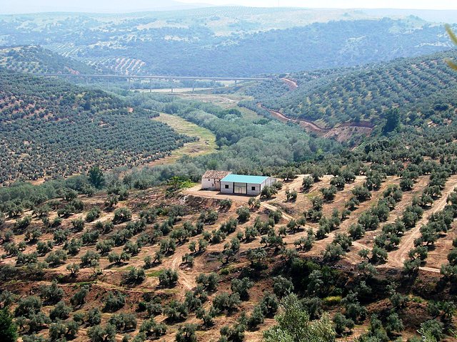 cortijo del pretel