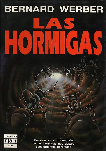 hormigas