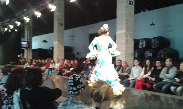 Pasarela 14-2-2015 (1)
