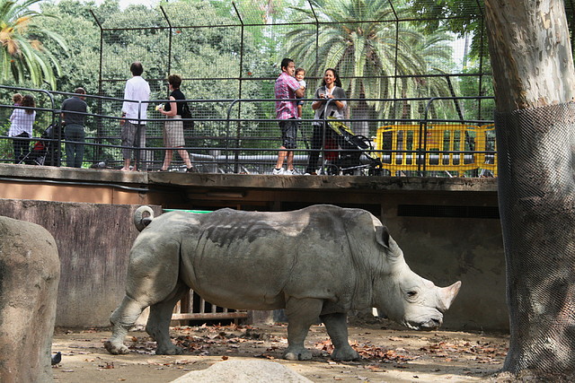 Zoo de Barcelona 26-09-2010 023 Zoo de Barcelona 26-09-2010 023