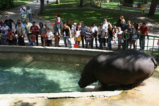 Zoo de Barcelona 26-09-2010 096 Zoo de Barcelona 26-09-2010 096