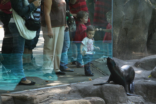 Zoo de Barcelona 26-09-2010 150 Zoo de Barcelona 26-09-2010 150