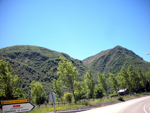 DSCN8575 DSCN8575