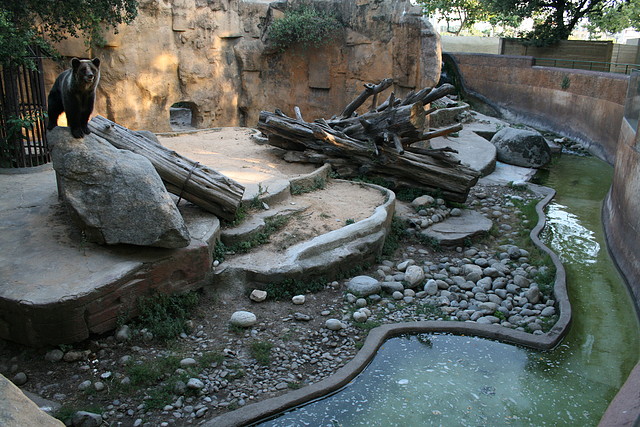 Zoo de Barcelona 17-07-2010 194 Zoo de Barcelona 17-07-2010 194