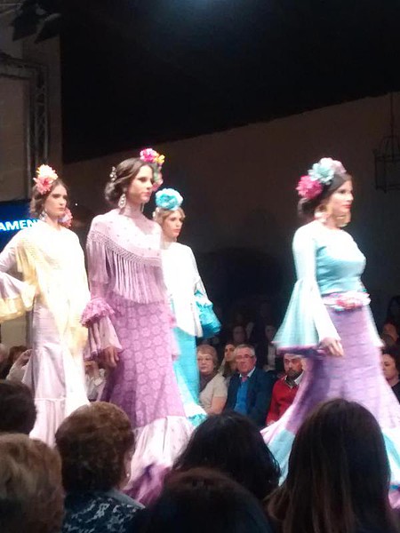 Pasarela 12-2-2015 (11) Pasarela 12-2-2015 (11)