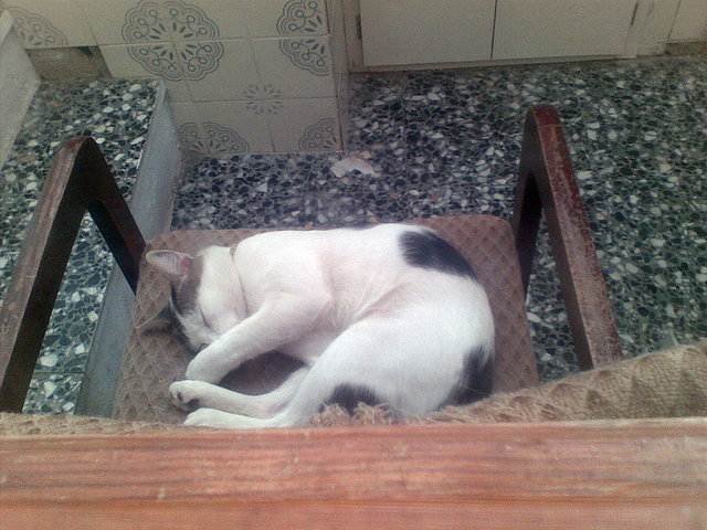 Mi lukas durmiendo.- Angelito Mi lukas durmiendo.- Angelito