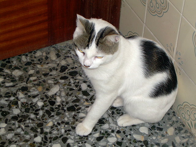 Mi lukas pensando :) Mi lukas pensando :)