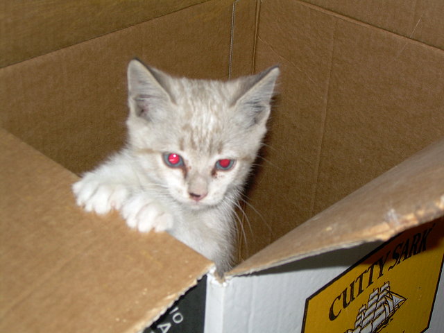 Mas bonito!!! Coby Mas bonito!!! Coby