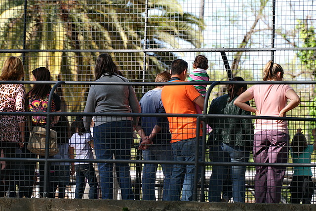 Zoo de Barcelona 09-04-11 060 Zoo de Barcelona 09-04-11 060