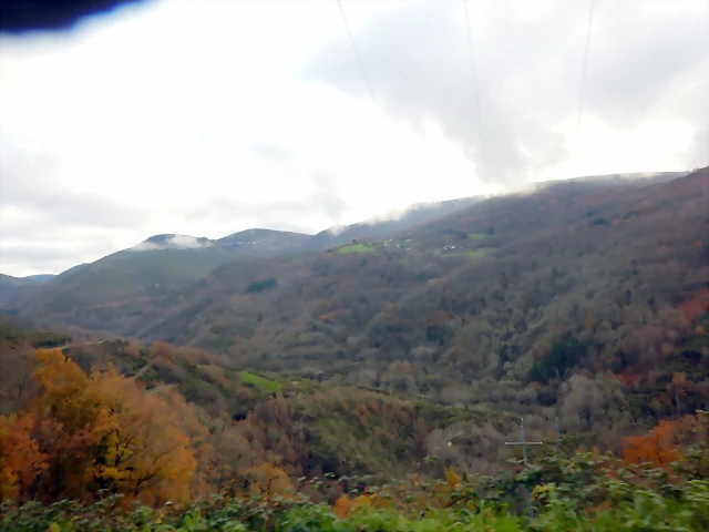 DSCN1990