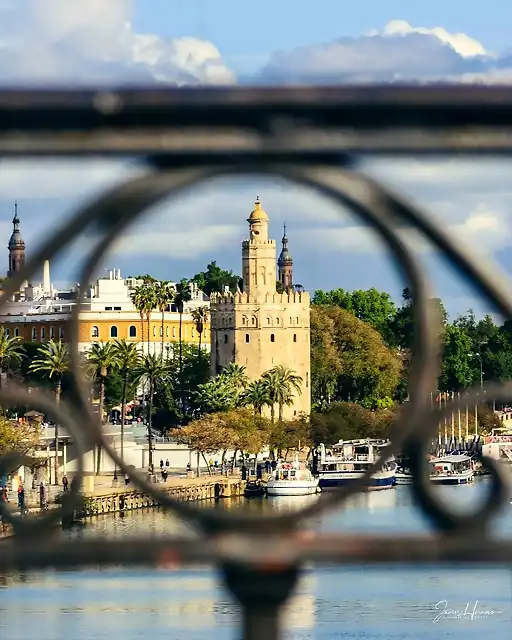 Torre del Oro 4