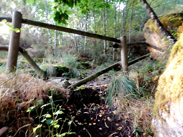 DSCN8436 DSCN8436