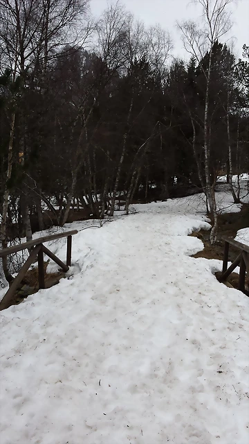 20150330_154311[1]