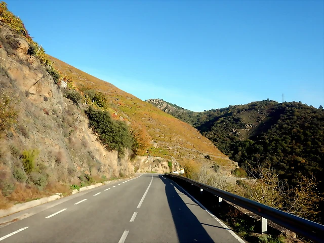 DSCN1702 DSCN1702