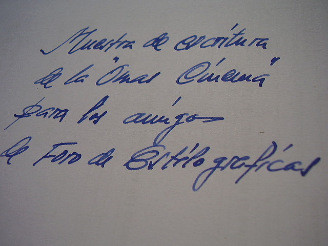 P1010994 P1010994