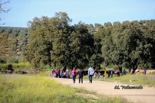 01, en el llano 1, marca