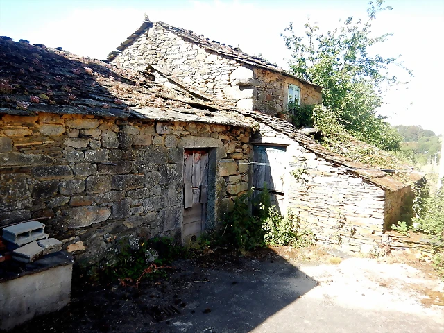 DSCN6625