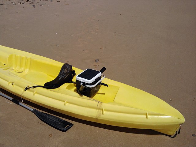 kayak