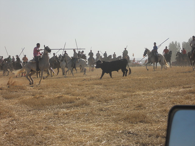 encierros zamora 010