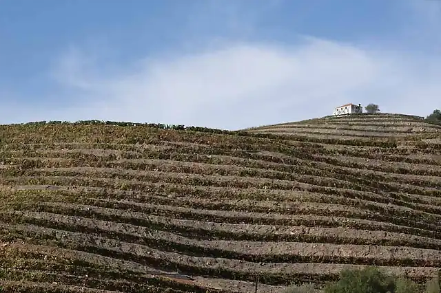 Douro-Asturias_202 copia