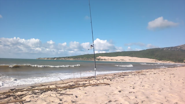punta_paloma punta_paloma