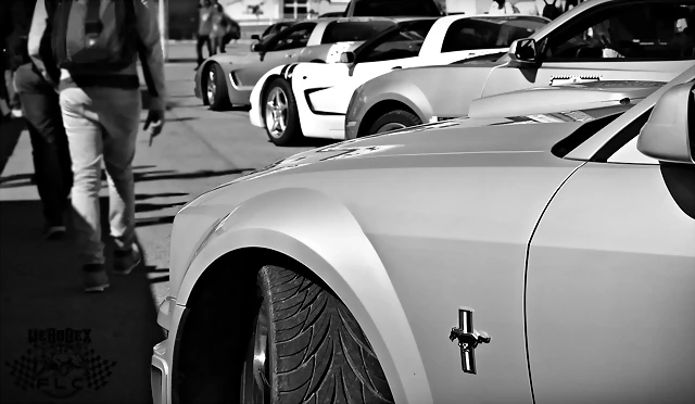 DSC_0880 DSC_0880