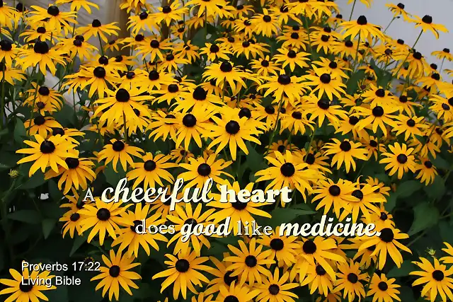 merry_heart_like_medicine