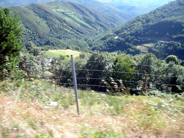 DSCN0940 DSCN0940