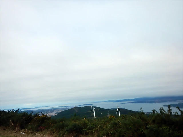DSCN0142 DSCN0142