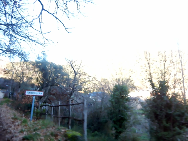 DSCN1693 DSCN1693
