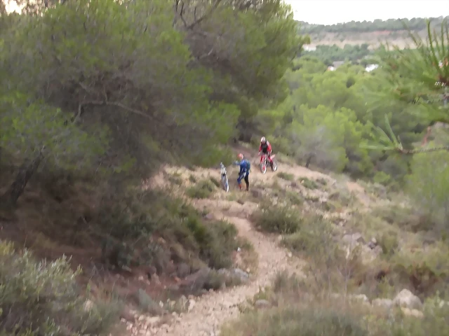 resized_Trial Sagunto 006 resized_Trial Sagunto 006