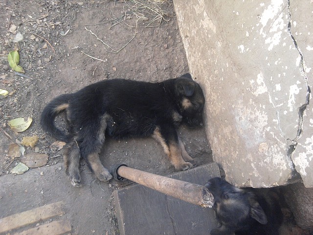 Foto0139 Foto0139