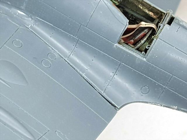 SDC39444 SDC39444