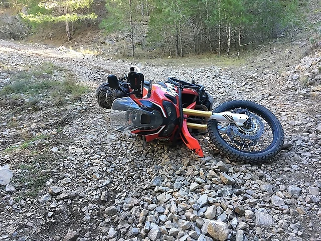 53