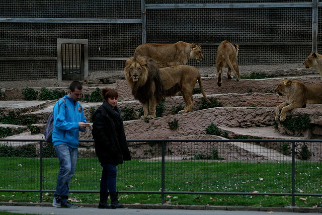 Zoo de Barcelona 15-02-11 614 Zoo de Barcelona 15-02-11 614