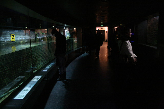 Amsterdam 29-12-2010 1396