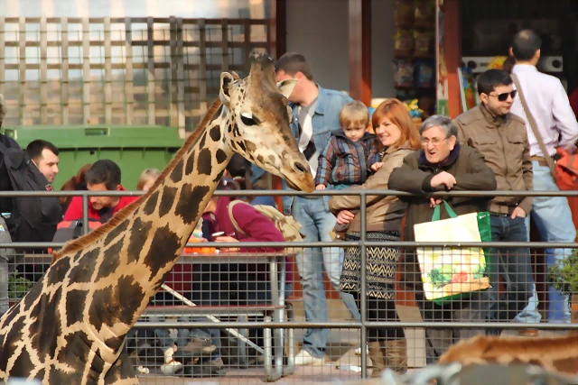 Zoo de Barcelona 03-03-12 364 Zoo de Barcelona 03-03-12 364