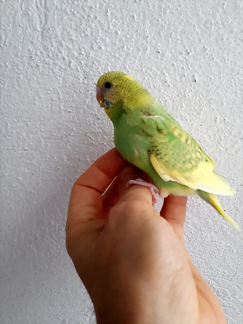 20190720_111841(0)