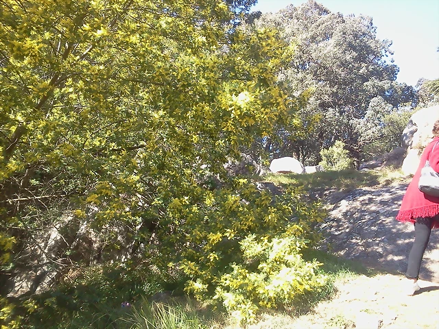 2013-08-18 12.07.01 2013-08-18 12.07.01