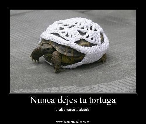 tortuga