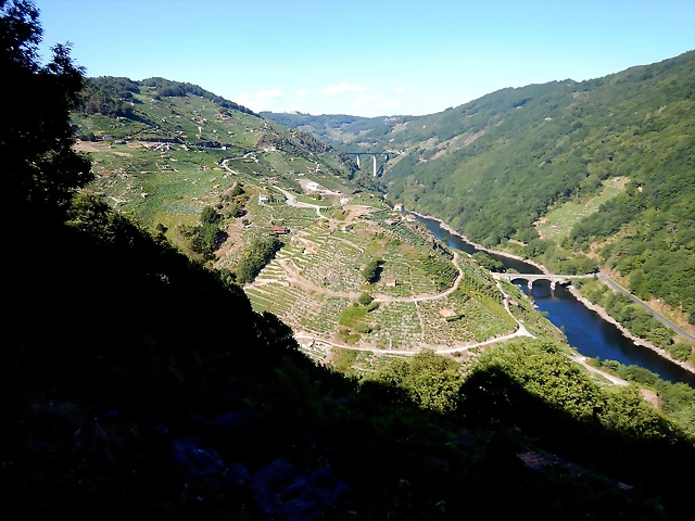 DSCN4206 DSCN4206