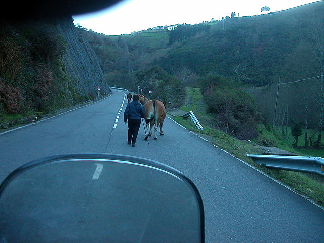 DSCN5651 DSCN5651